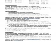 Public Notice of Election, Ad 2