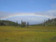 Community Photo of Dillingham, AK